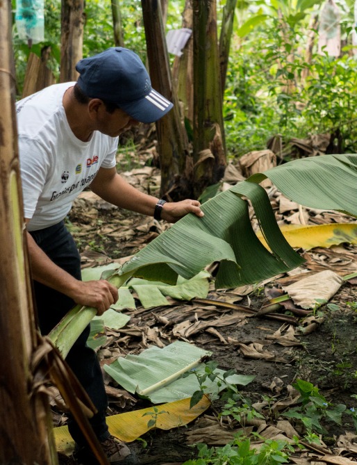 Image hover effect image